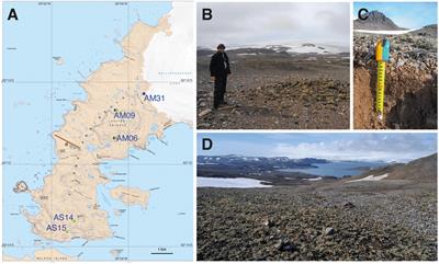 Unrecognized diversity and distribution of soil algae from Maritime Antarctica (Fildes Peninsula, King George Island)